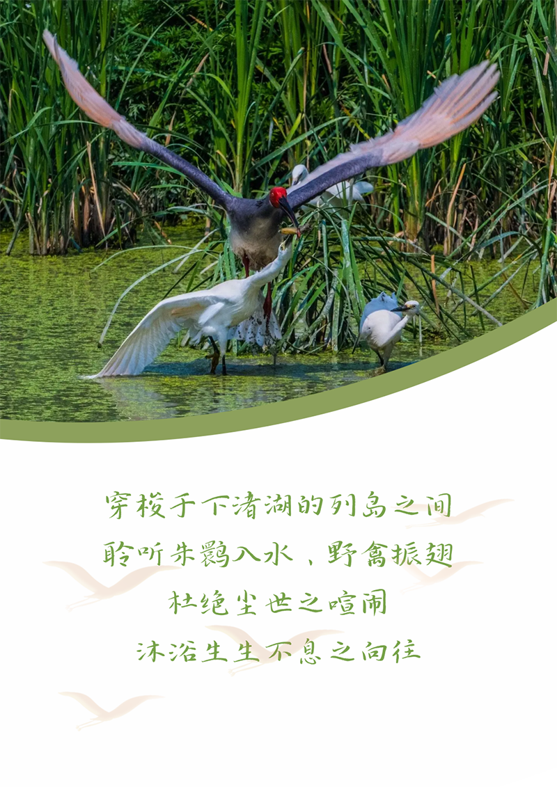 心心念廿 相伴AG旗舰厅 | 与德清相约 贺廿载诞辰